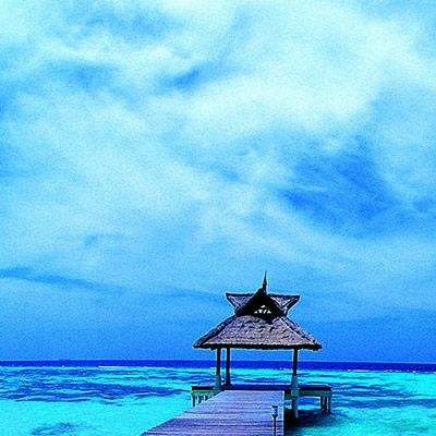 pg电子最新网站入口