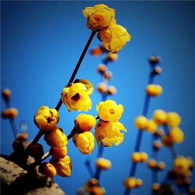 爱游戏全站登录