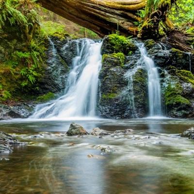 凤凰彩票welcome下载手机版截图