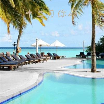 乐鱼体育app下载截图