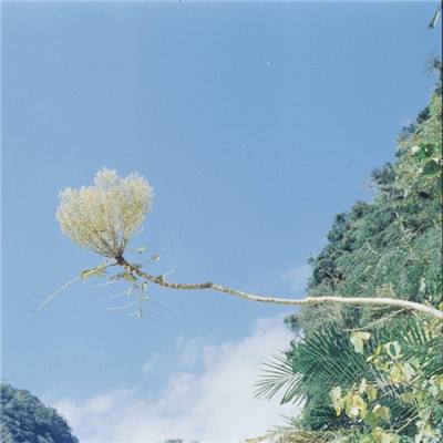 爱游戏全站登录截图