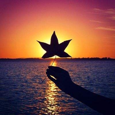 火狐电竞·huohu下载手机版截图