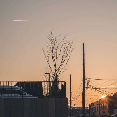 森林舞会游戏下