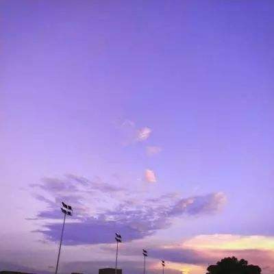 雷竞技RAYBET手机app下载